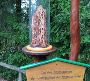 Park Rennsteiggarten