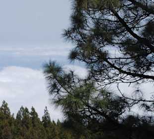 Park el teide
