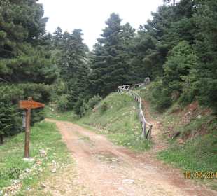 Noch 2 km bis zum Bergkamm