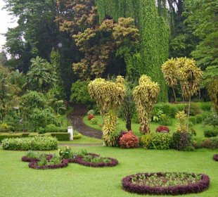 Botanischer Garten in Kandy