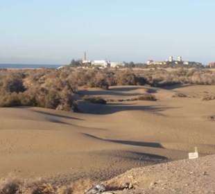  Blick über die Dünen zum Faro