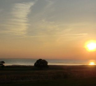 Sonnenuntergang am Öresund
