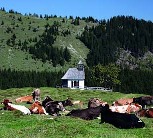 Wandern Strobl - St. Wolfgang