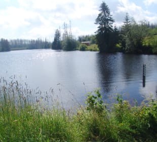 Wasserwanderweg „Buntenbocker Teiche“