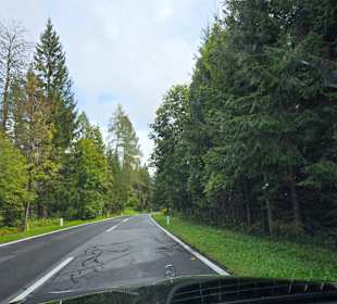 Hier kann man gut Gas geben