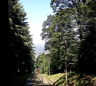 Fahrt mit der Königstuhlbahn