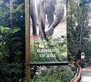 Singapur Zoo
