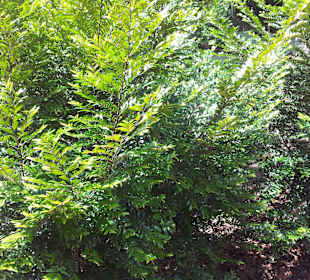 Ausflug mit Mario von Edelweiss Tours