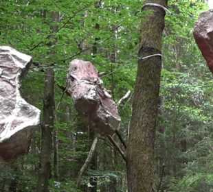 Dinosaurier Museum Altmühltal