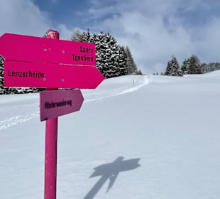 Lenzerheide Wandern 