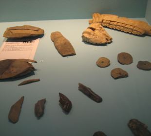 Rheinisches Landesmuseum