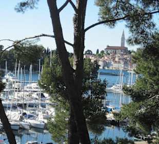 Rovinj
