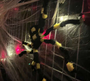 Spielplatz Prickbos Halloween-Event