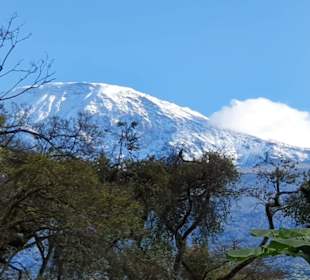 Am Fuße des Kilimanjaro