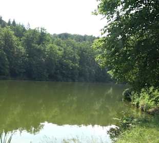 Rundwanderung Klingenbachtal - Sulzbachsee
