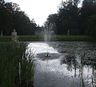 Blick in den Schlosspark von Schloss Fasanerie