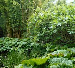 Schloßpark Kasteeltuinen Arcen