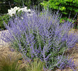Eindrücke vom Rundgang durch den Park der Gärten