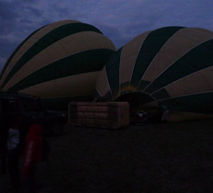 Hot Air Safari