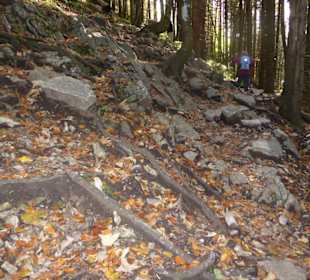 Rundwanderung Spitzingsattel