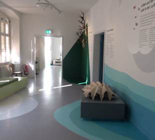 Museum Natur und Mensch