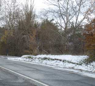 Ausflug in das Toodos Gebirge