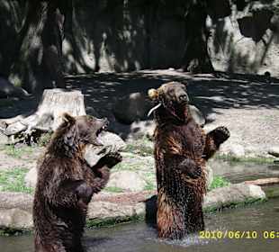 Tierpark Hagenbeck