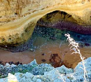 Seven Hanging Valleys Trail 