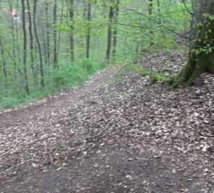 Premiumwanderweg Hochgebürzelt