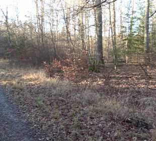 Ochsenweiher Rundweg