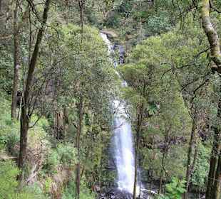 Berühmte Wasserfälle