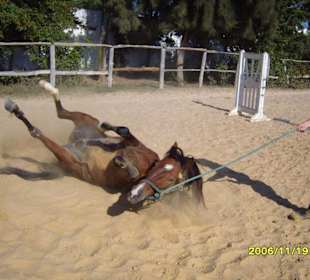 Erst ein Sandbad!