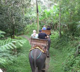 Auf dem Rücken des Elefantes