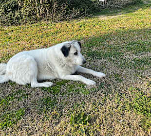 Strandpromenade Evrenseki