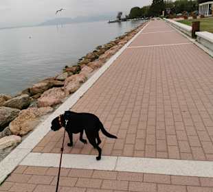Promenade Castelnuovo del Garda