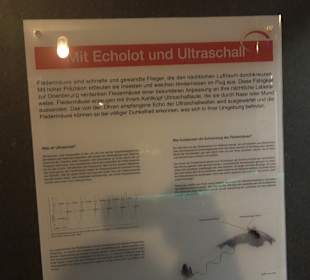 HöhlenSchauLand Hürben