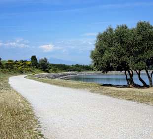 Impressionen vom Rundweg um den Lac de la Raho