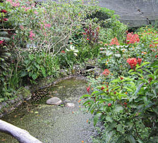 Fluß durch den Park