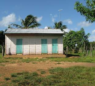 Haus