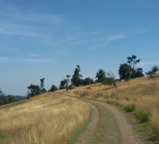 Abwechslungsreiche Landschaft