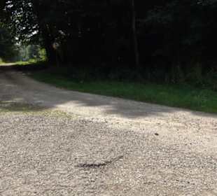 Premiumwanderweg "hochgesprudelt"
