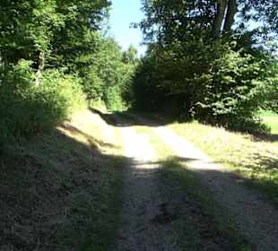 Ameisenlehrpfad Holzelfingen