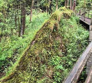 Wandern Bergen (Mittelfranken)