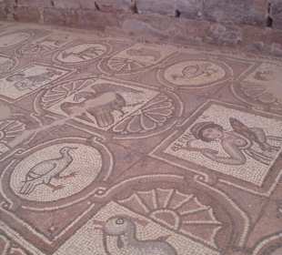 Petra - Mosaiken