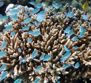 Under water
