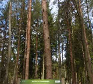 Wanderung Handthal → Ebrach → Handthal