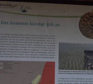 Geologischer Lehrpfad Kirnbachtal