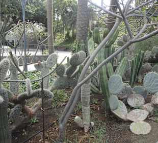 Parque Doramas, Las Palmas 02-2015