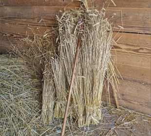 Die Tenne des Dietelhofes