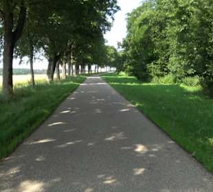 Waldlehrpfad St. Johann